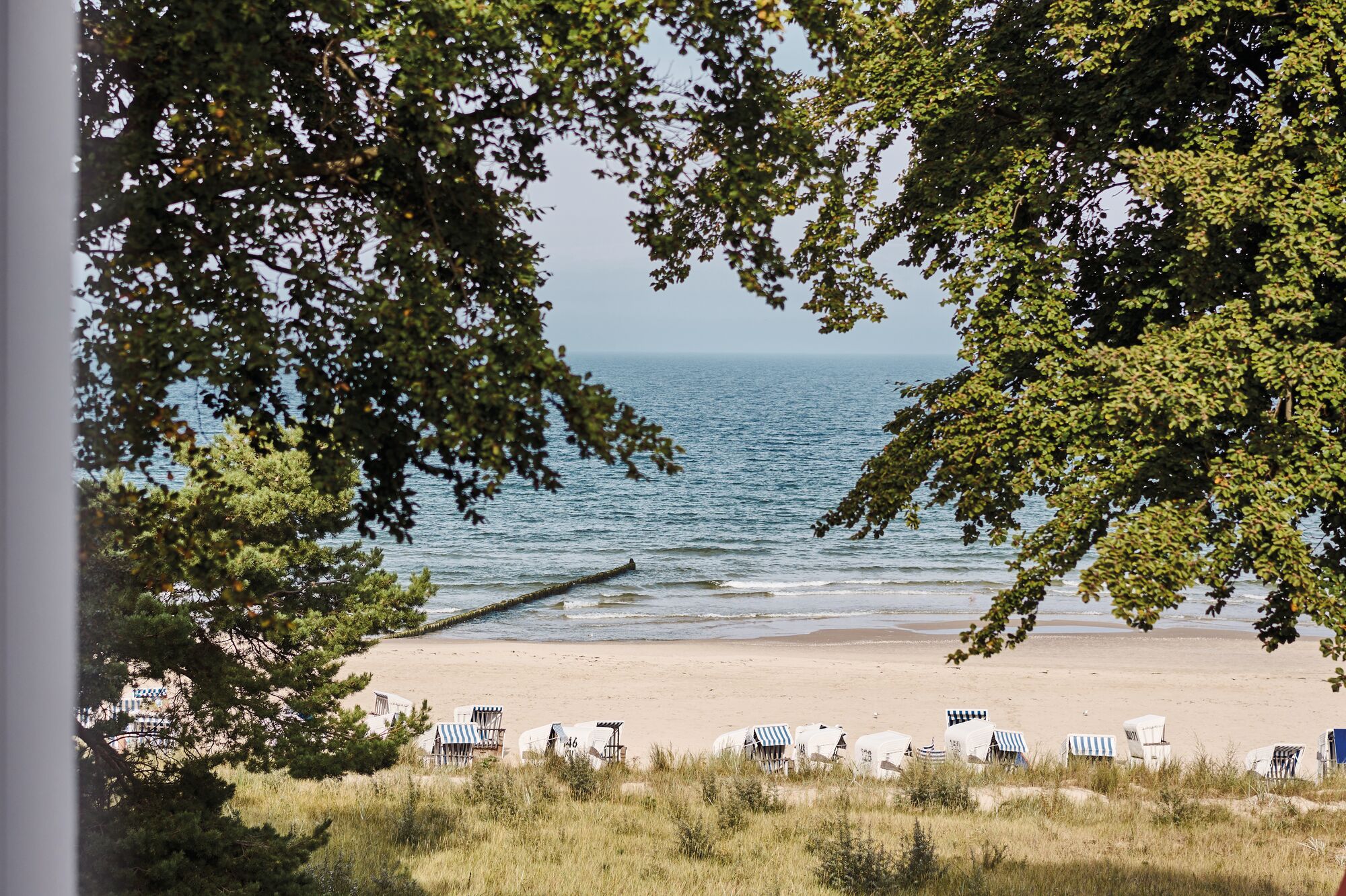 Familienhotel - Tennis - Kemnitz (Vorpommern-Greifswald) - Ausblick vom Zimmer - aja Strandhotel Bansin