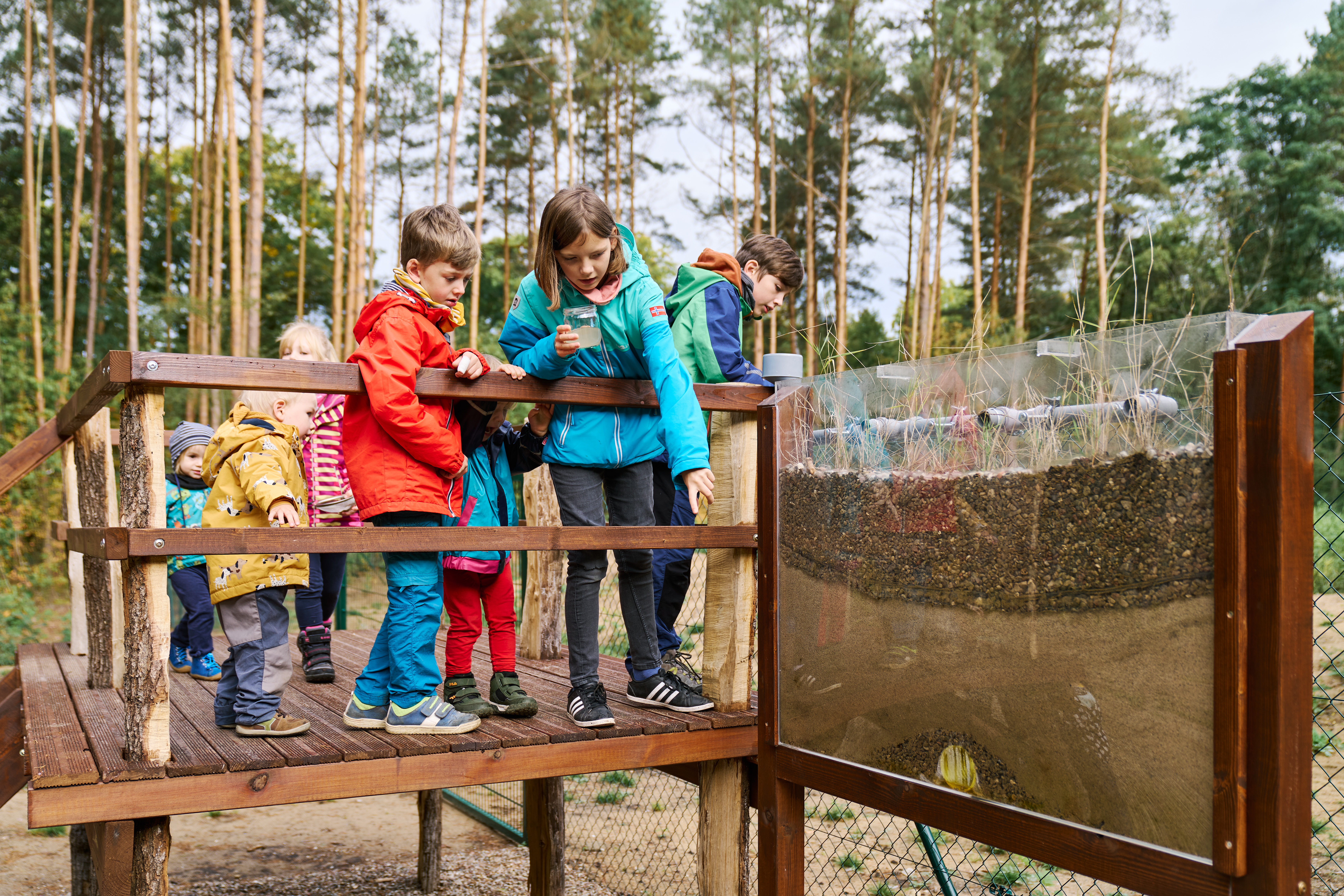 Kinderhotel: Pflanzenkläranlage der martas Gästehäuser - martas Gästehäuser Groß Väter See