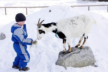 Kinderhotel: Auch im Winter wollen die Tiere Futter - Kinderhotel Felben