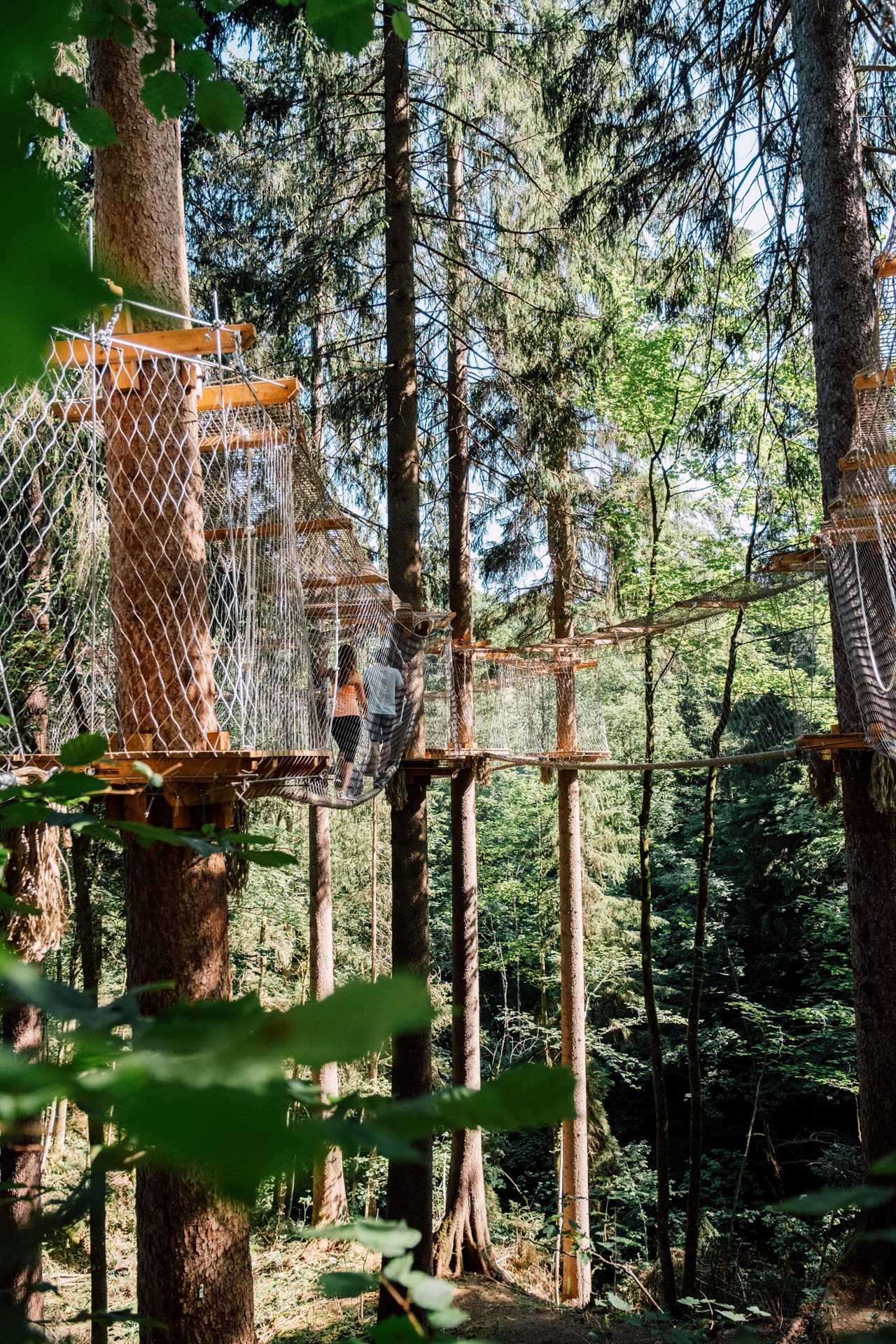 Alpina Alpendorf Ausflugsziele Baumparcours 