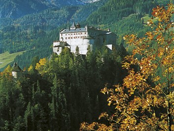 Alpina Family, Spa & Sporthotel****S Ausflugsziele Erlebniswelt Burg Hohenwerfen