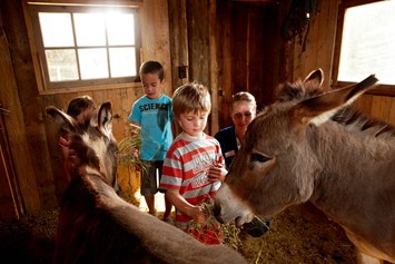Kinderhotel: Tiere und Kinder - das passt überall - Almhof Family Resort & SPA
