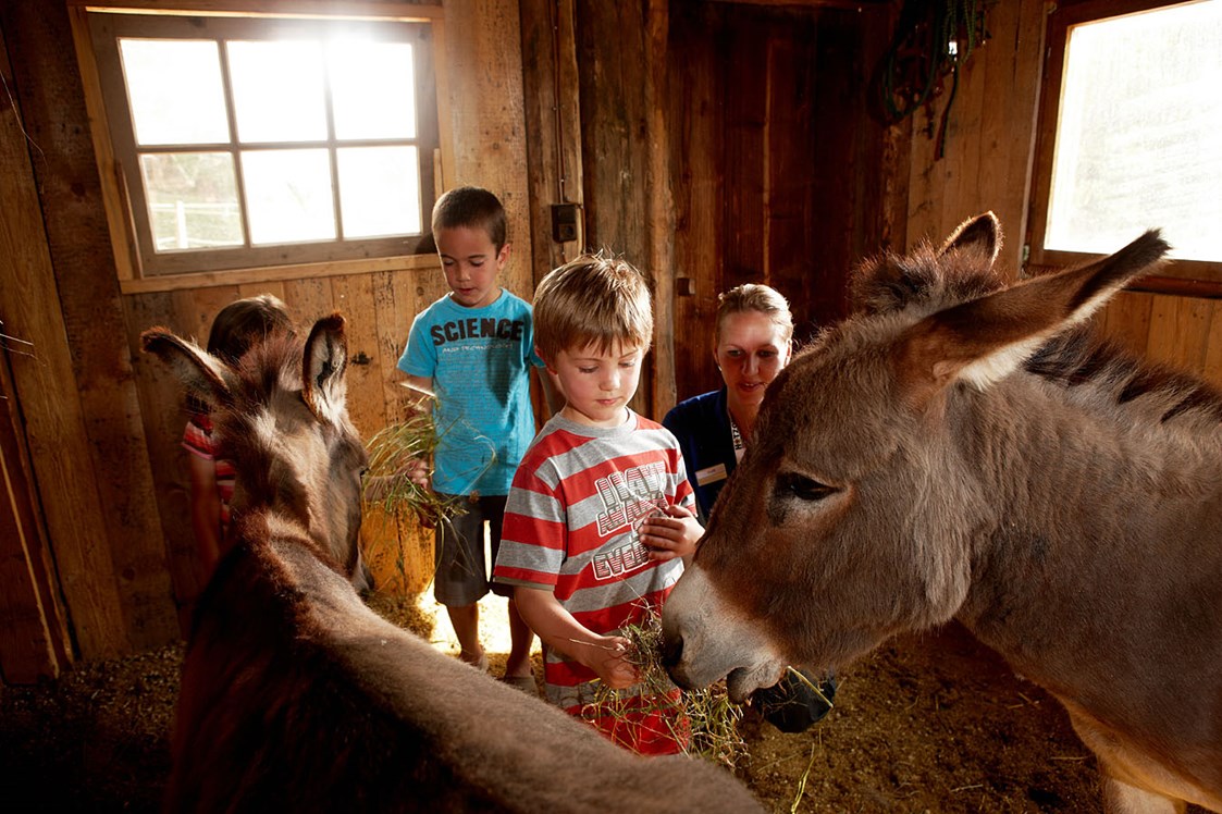 Kinderhotel: Tiere und Kinder - das passt überall - Almhof Family Resort & SPA