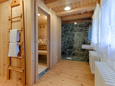 Kinderhotel: Bauernhaus Sauna  - Almdorf Seinerzeit