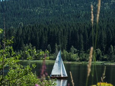 Kinderhotel: Der Schluchsee lädt zu Aktivität auf dem Wasser ein - Stand Up Paddling, Segeln, Kajak / Kanu / Tretboot fahren, Schwimmen, Tauchen oder sich einfach mit dem Boot über den See schippern lassen. - Vier Jahreszeiten am Schluchsee