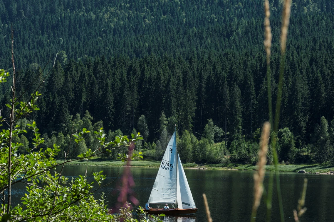 Kinderhotel: Der Schluchsee lädt zu Aktivität auf dem Wasser ein - Stand Up Paddling, Segeln, Kajak / Kanu / Tretboot fahren, Schwimmen, Tauchen oder sich einfach mit dem Boot über den See schippern lassen. - Vier Jahreszeiten am Schluchsee