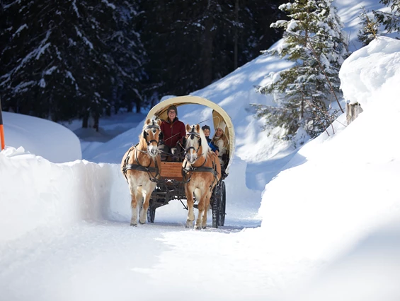 Kinderhotel: Kutschenfahrt Winter - Familienparadies Sporthotel Achensee****