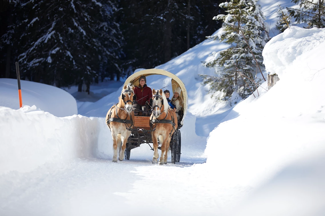 Kinderhotel: Kutschenfahrt Winter - Familienparadies Sporthotel Achensee****