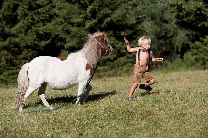 DAS ALPENHAUS KATSCHBERG.1640 Ausflugsziele Ponyalm
