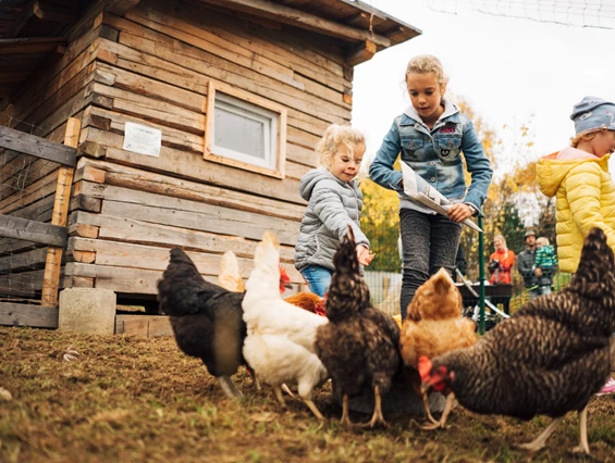 Kinderhotel: Der Kirchheimerhof - Superior Refugium