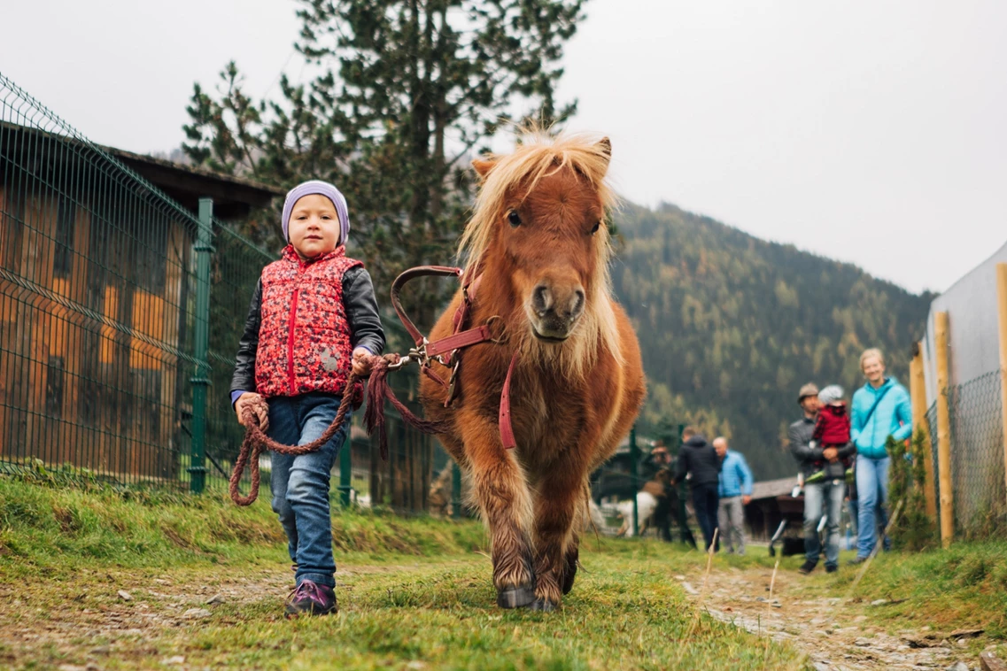 Kinderhotel: Der Kirchheimerhof - Superior Refugium