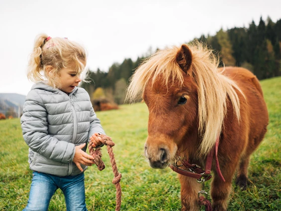 Kinderhotel: Der Kirchheimerhof - Superior Refugium