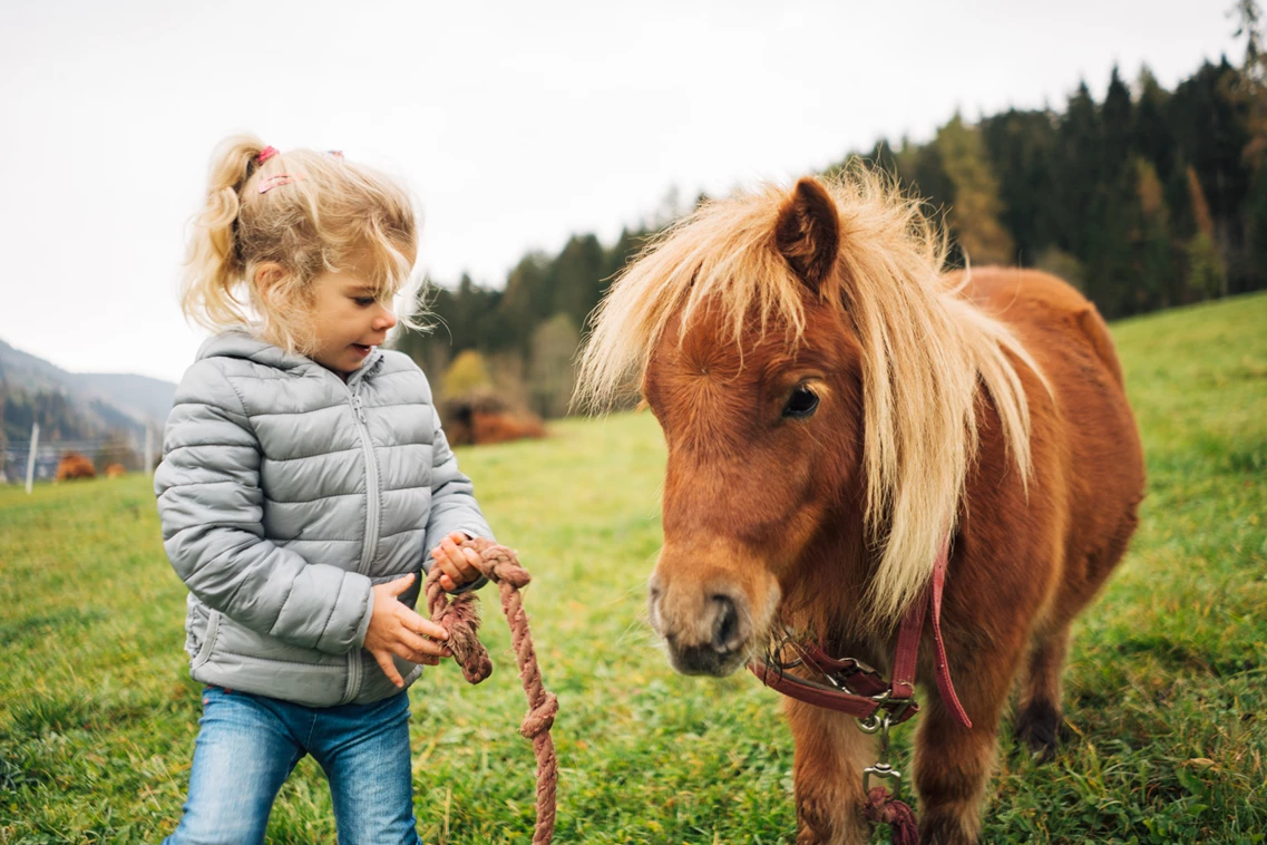 Kinderhotel: Der Kirchheimerhof - Superior Refugium