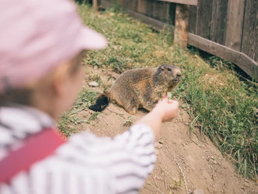 Kinderhotel: Der Kirchheimerhof - Superior Refugium