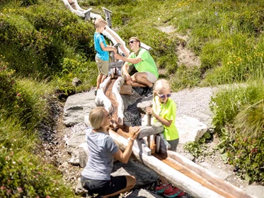 Kinderhotel: Hotel Alpenhof