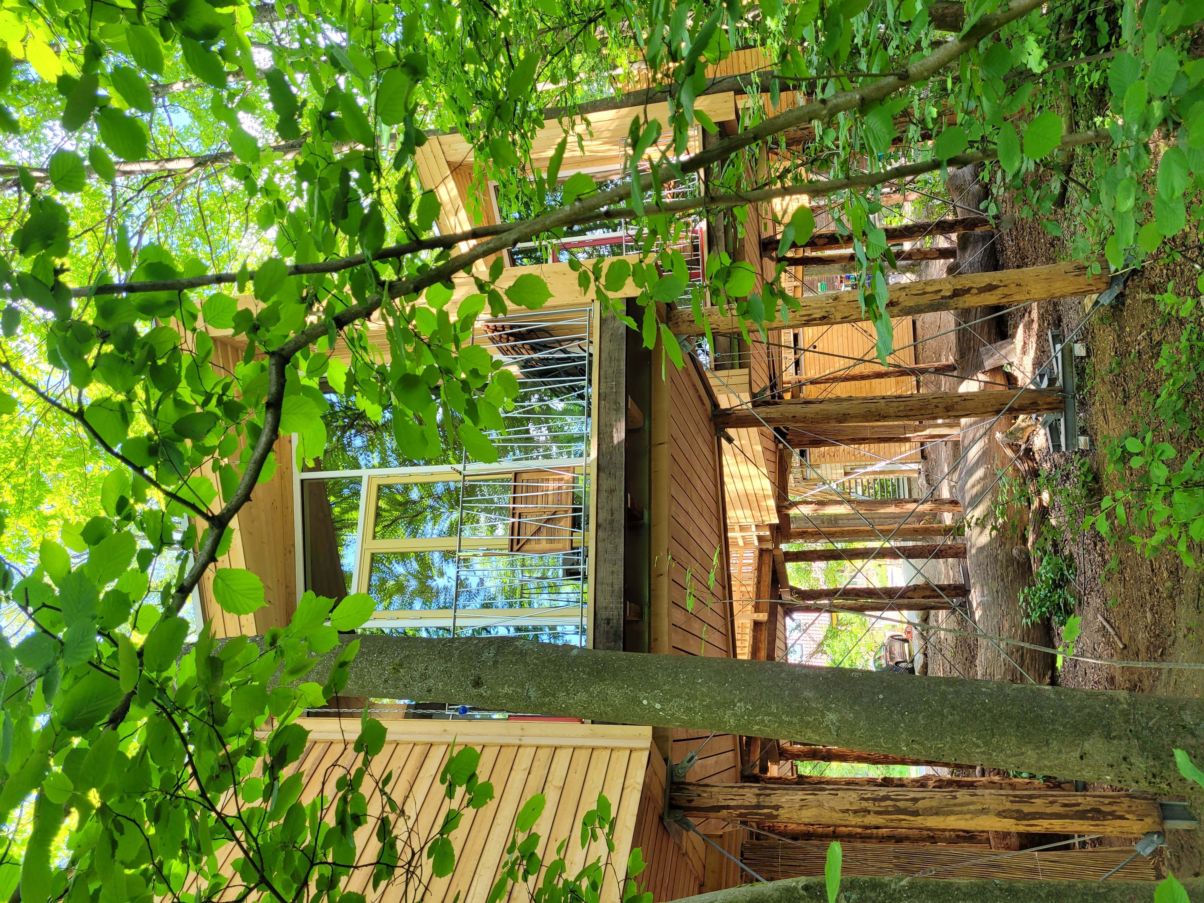 BIO-Hotel Kenners LandLust Zimmerkategorien Doppelzimmer Baumhaus