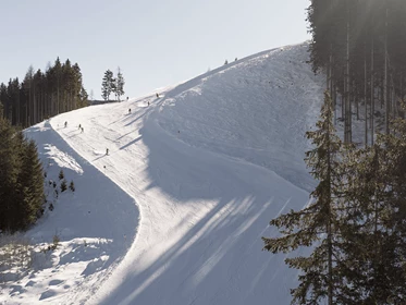 Kinderhotel: Skigebiet Leogang Saalbach Hinterglemm Fieberbrunn - Hotel Krallerhof