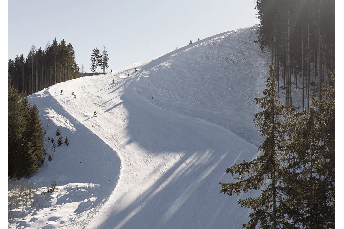 Kinderhotel: Skigebiet Leogang Saalbach Hinterglemm Fieberbrunn - Hotel Krallerhof