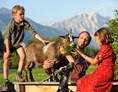 Kinderhotel: Streichelzoo mit Ziegen und Ponys - Der Stern - Das nachhaltige Familienhotel seit 1509