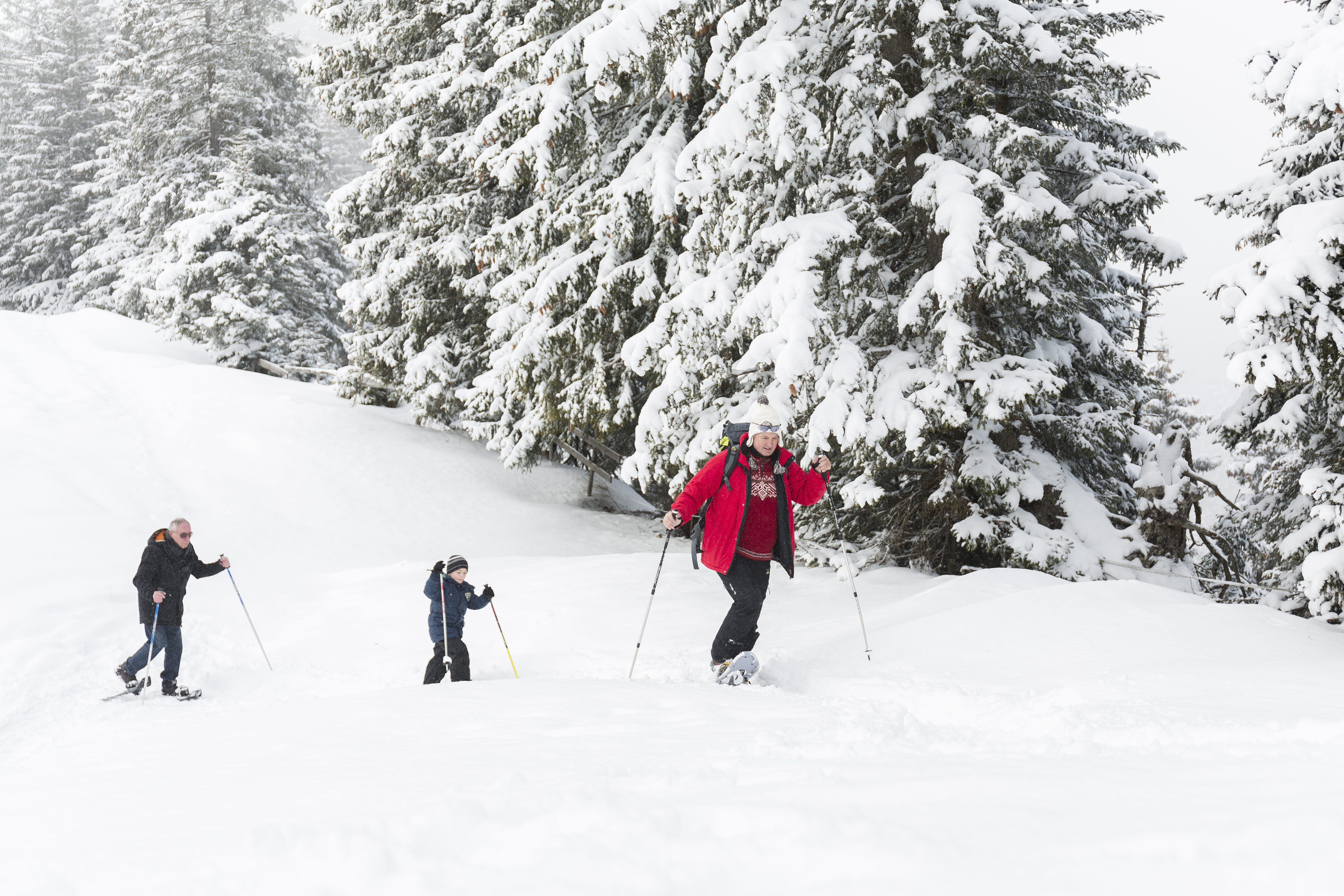 Kinderhotel: Winterwanderwege - Familotel Kaiserhof**** - Hotel | Umgebung