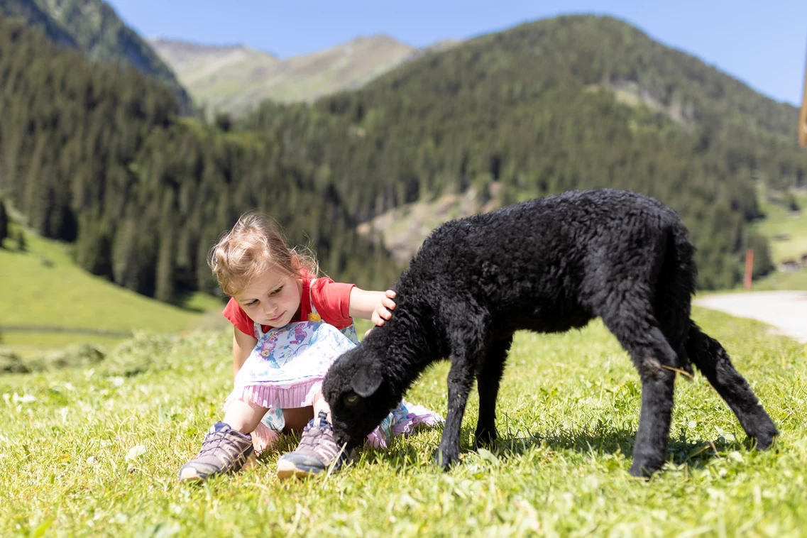 Kinderhotel: Besuch am Tuxer Bauernhof - Kinder- & Gletscherhotel Hintertuxerhof