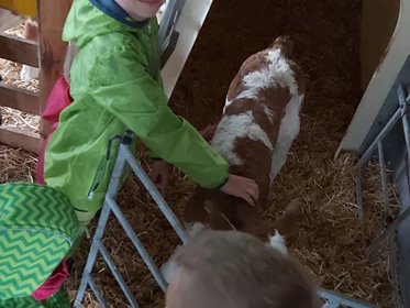 Kinderhotel: Auf dem Bauernhof. - Kinder- & Gletscherhotel Hintertuxerhof