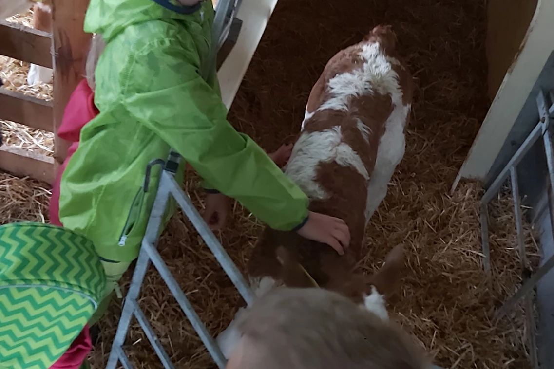 Kinderhotel: Auf dem Bauernhof. - Kinder- & Gletscherhotel Hintertuxerhof