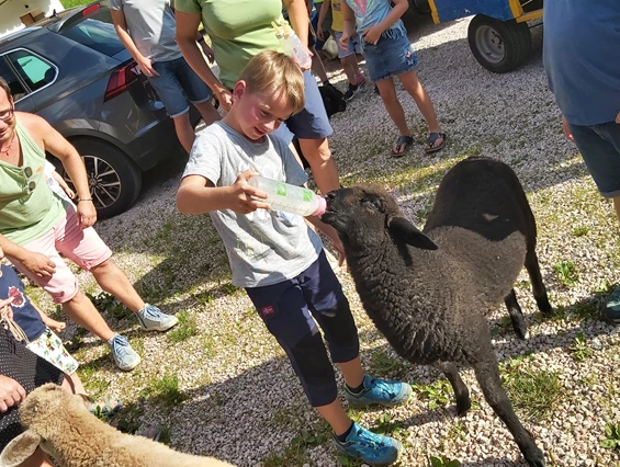 Kinderhotel: Auf dem Bauernhof  - Kinder- & Gletscherhotel Hintertuxerhof