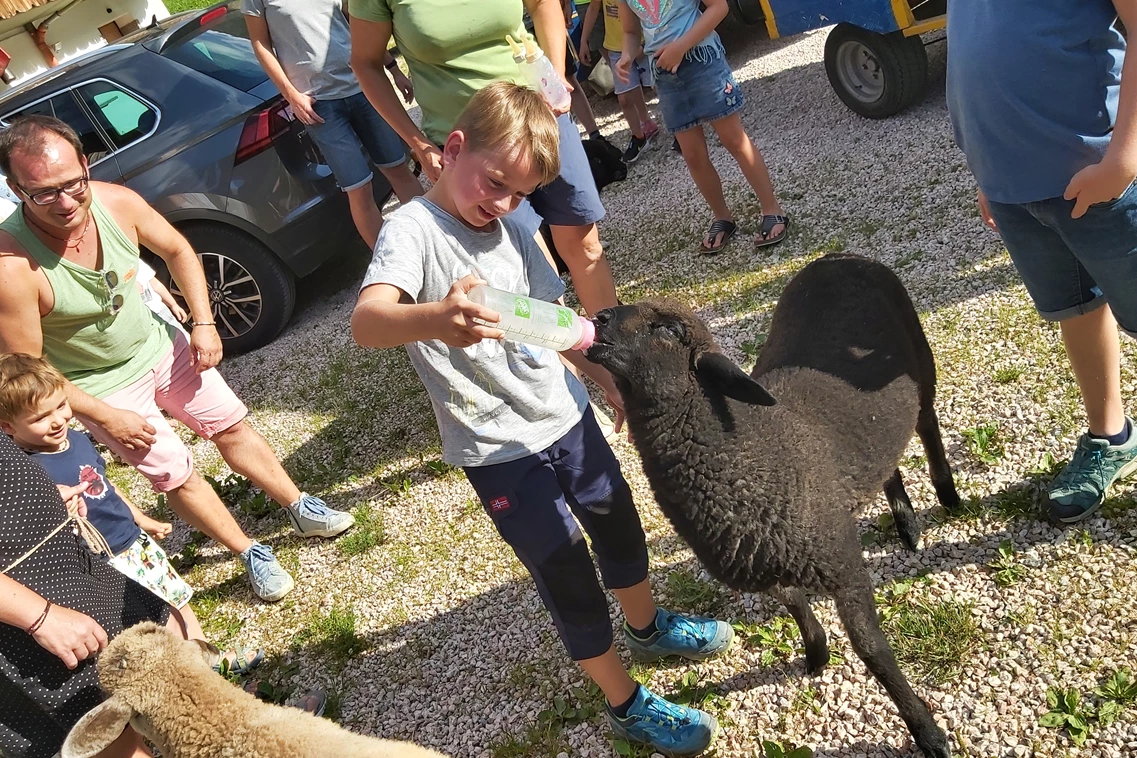 Kinderhotel: Auf dem Bauernhof  - Kinder- & Gletscherhotel Hintertuxerhof