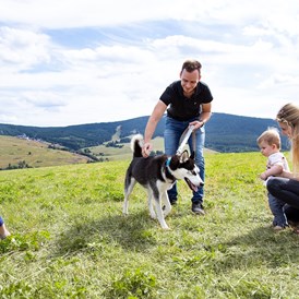 Kinderhotel: Und der Familienhund? Der kommt auf Anfrage einfach mit! :) (gg. Haustier-Gebühr) - Elldus Resort - Familotel Erzgebirge
