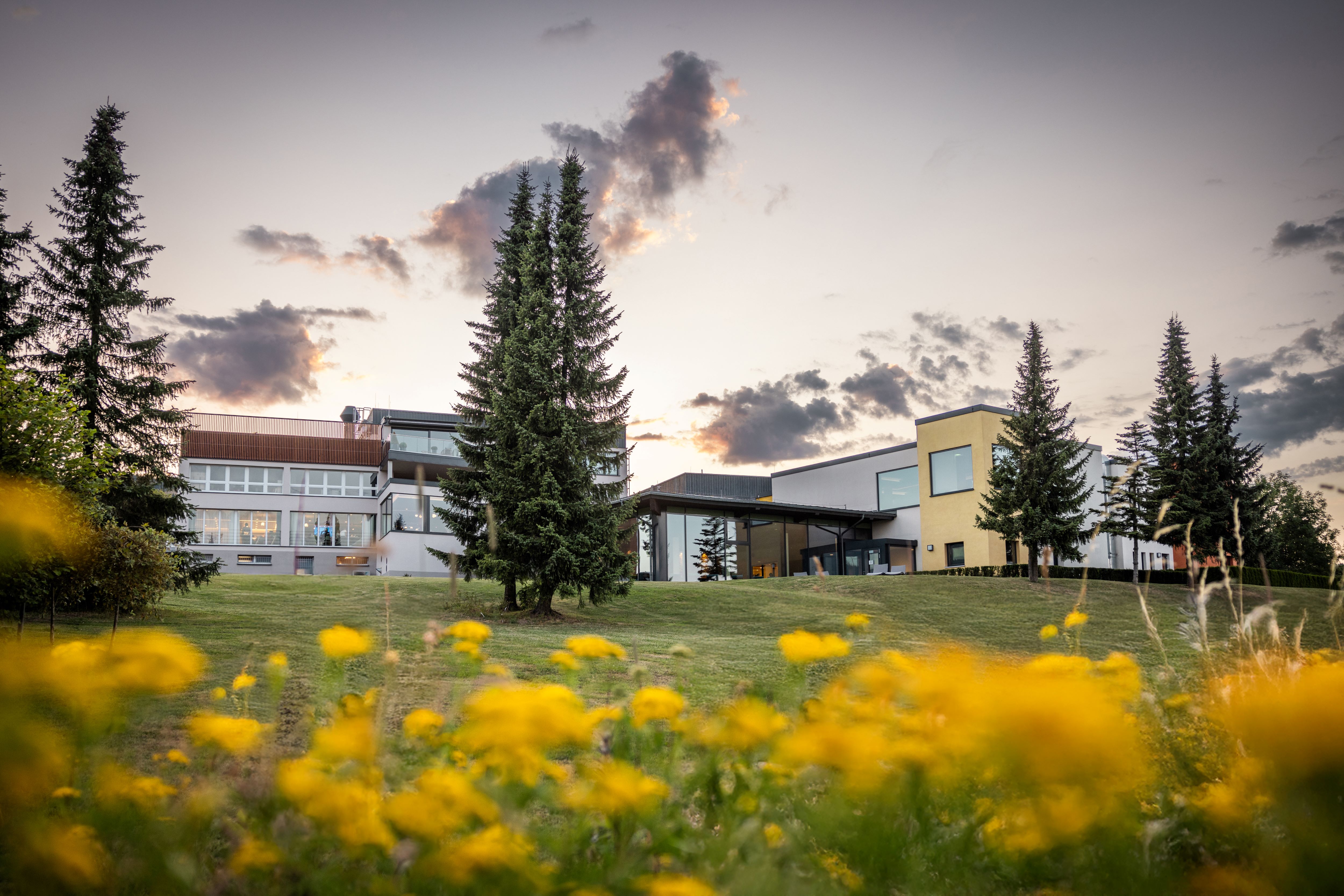 Familienhotel - Reitkurse - Umgebung, Außengelände Sommer - Elldus Resort - Familotel Erzgebirge