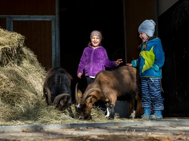 Kinderhotel: Streicheltiere im ULRICHSHOF - ULRICHSHOF Nature · Family · Design