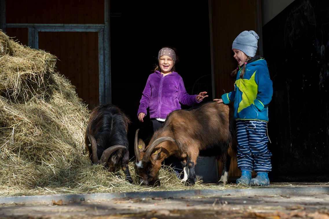 Kinderhotel: Streicheltiere im ULRICHSHOF - ULRICHSHOF Nature · Family · Design