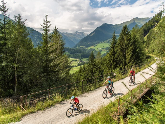 Kinderhotel: Mit dem Rad auf der alten Bahntrasse zwischen Mallnitz und Obervellach - Hotel Eggerhof