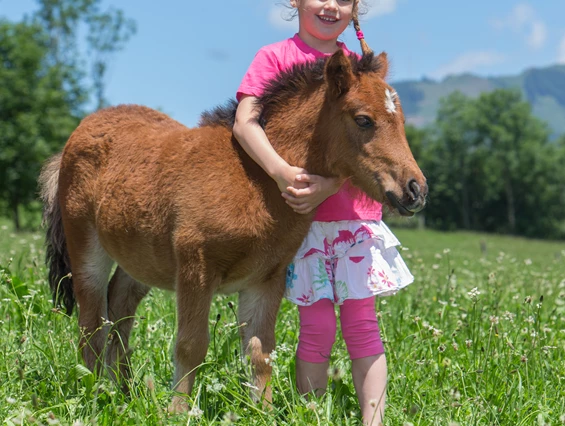 Kinderhotel: Feriendorf Ponyhof