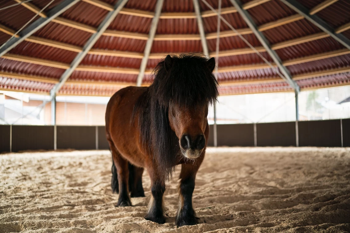 Kinderhotel: Feriendorf Ponyhof