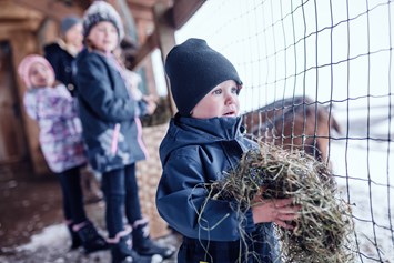 Kinderhotel: Tiere füttern im Winter - Familienresort Ellmauhof - Das Feriengut