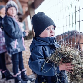 Kinderhotel: Tiere füttern im Winter - Familienresort Ellmauhof - Das Feriengut
