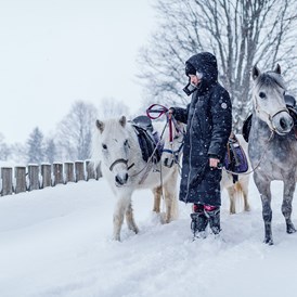 Kinderhotel: Spaziergang mit Ponies - Familienresort Ellmauhof - echtes All Inclusive