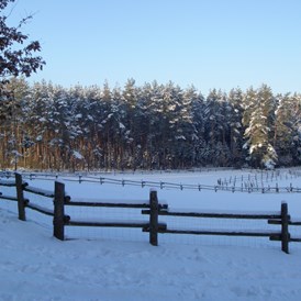 Kinderhotel: Blick Richtung Koppeln im Winter (bei Schnee) - Waldhotel Bächlein