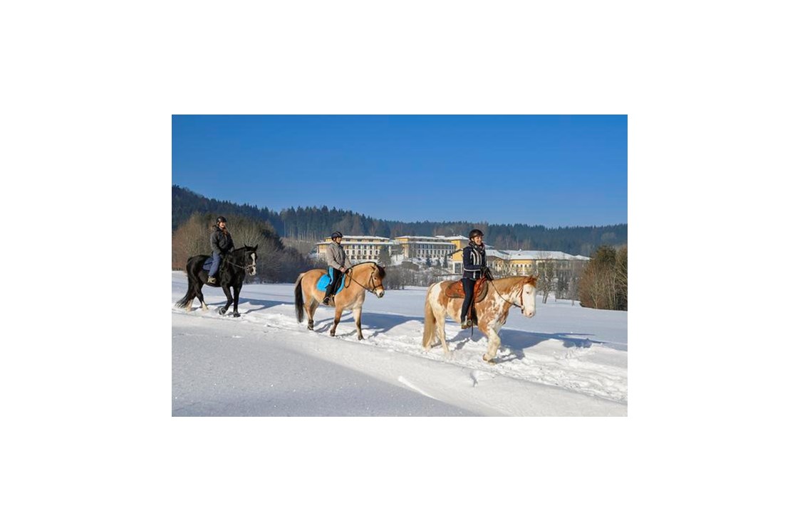 Kinderhotel: Ausreiten im Winter im Hausruckwald - Aldiana Club Ampflwang