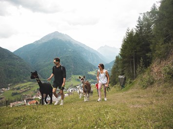 Das Central - Alpine. Luxury. Life. Ausflugsziele Mit Alpakas am Panoramaweg