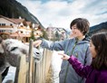 Kinderhotel: Alphotel Tyrol Esel - Family & Wellness Resort Alphotel Tyrol