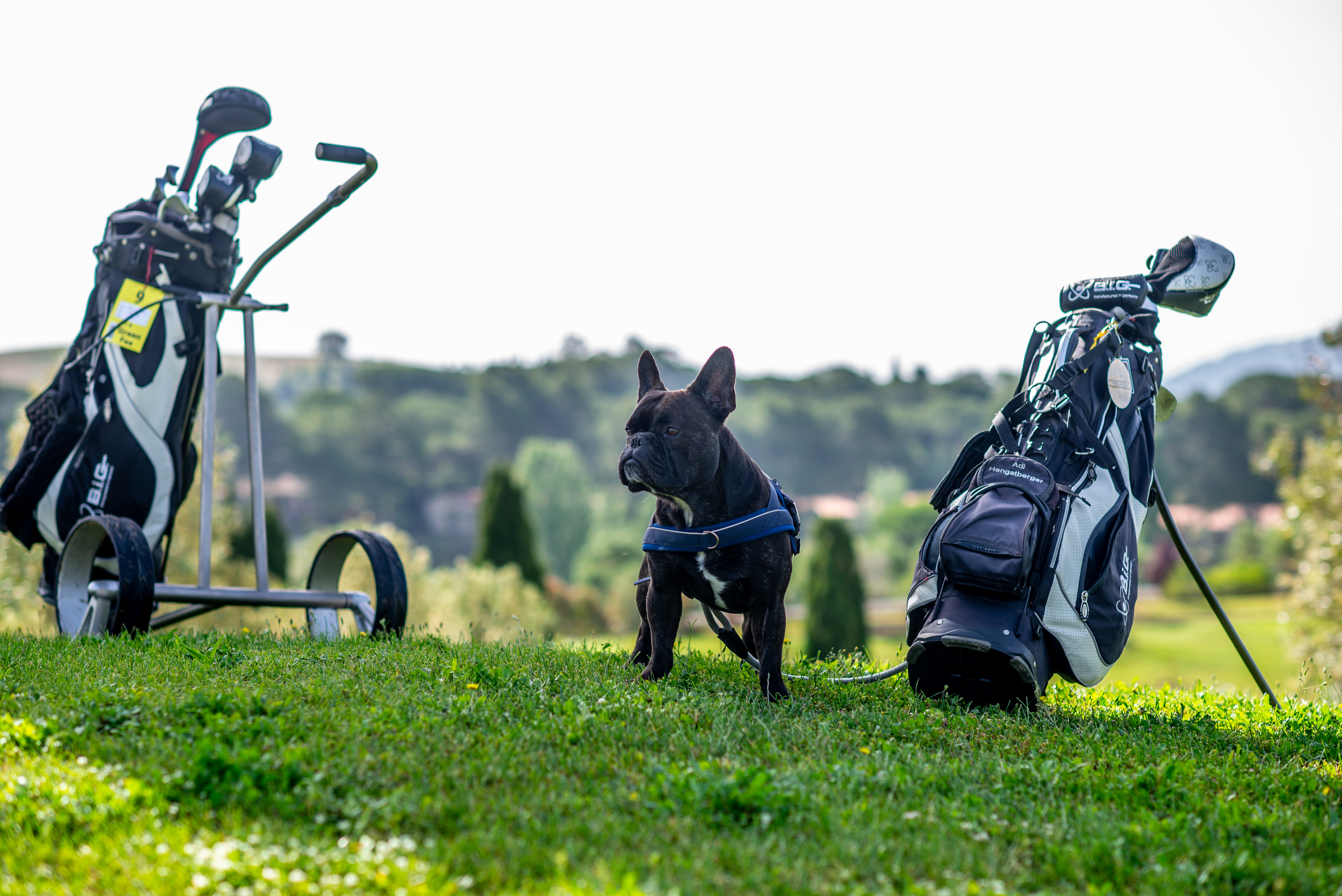 Kinderhotel: Unser Resort ist tierfreundlich und heißt Ihre Haustiere herzlich willkommen – für einen entspannten Urlaub mit der ganzen Familie. - Il Pelagone Hotel & Golf Resort Toscana