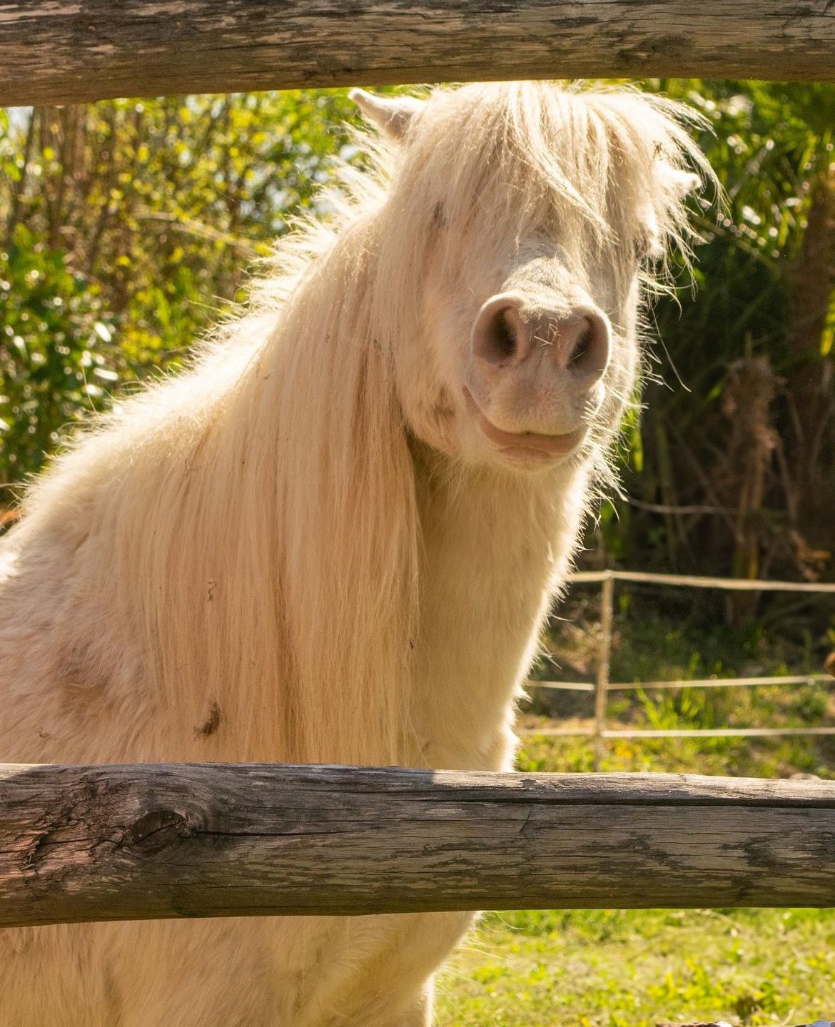 Kinderhotel: Albergo Losone