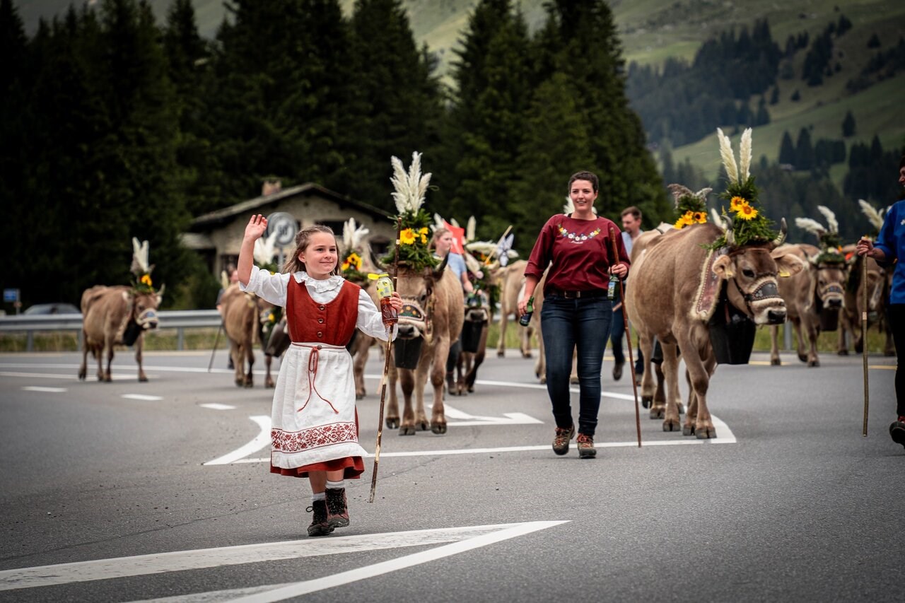 Valbella Resort Ausflugsziele Herbst: Alpabzüge in Lenzerheide