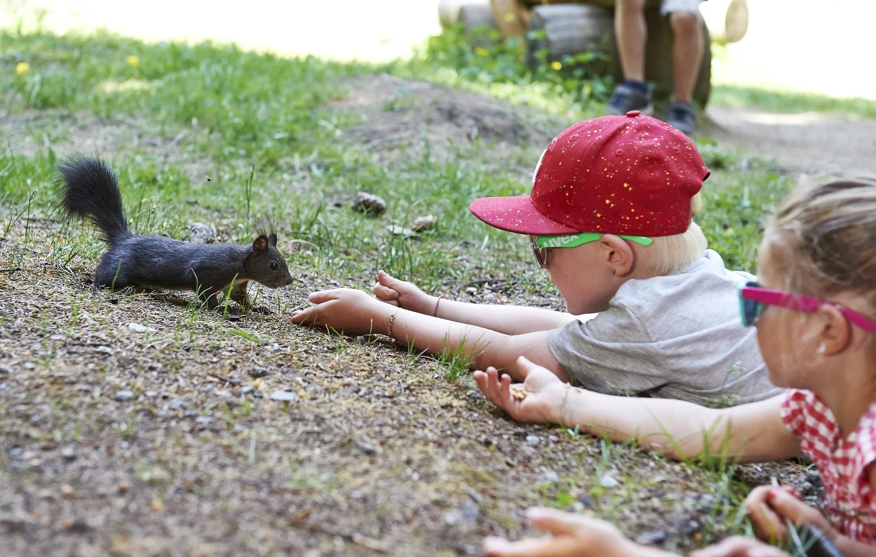 Valbella Resort Ausflugsziele Ganzjährig: Eichhörnchen füttern