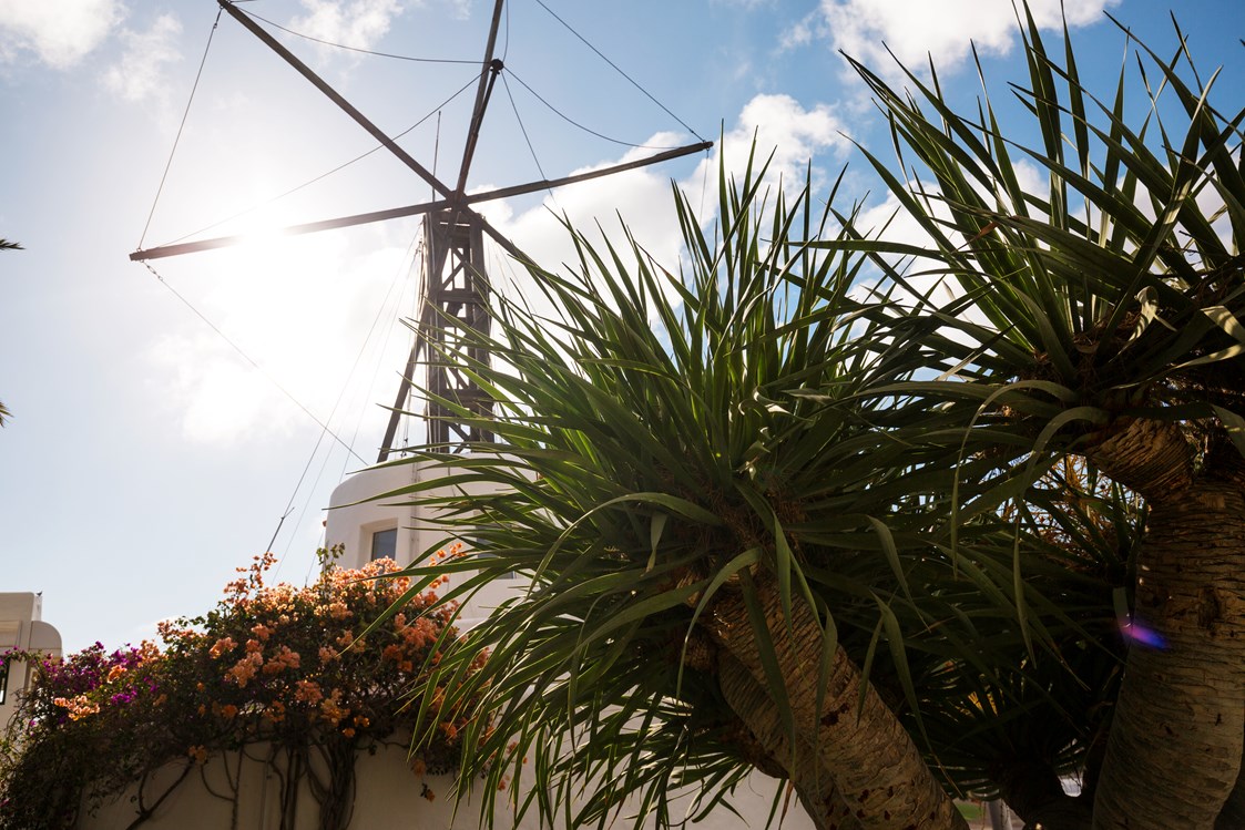 Kinderhotel: Das Wahrzeichen des Esquinzos: Die Windmühle - ROBINSON Club Esquinzo Playa