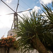 Kinderhotel - Das Wahrzeichen des Esquinzos: Die Windmühle - ROBINSON Club Esquinzo Playa