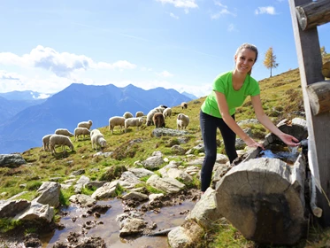 Kinderhotel: Wandern auf der Alm: https://www.glocknerhof.at/wandern-in-kaernten.html - Hotel Glocknerhof